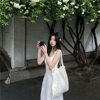双生赤狐