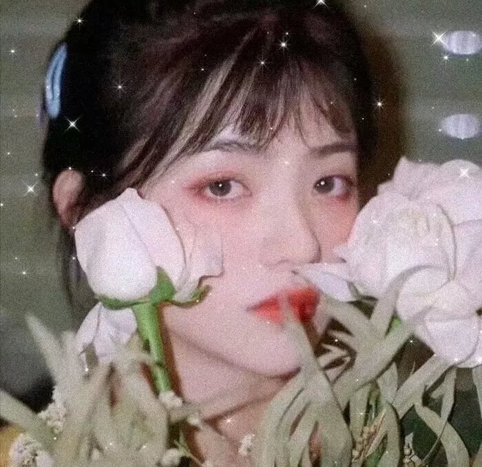 韩裔美人的日与夜